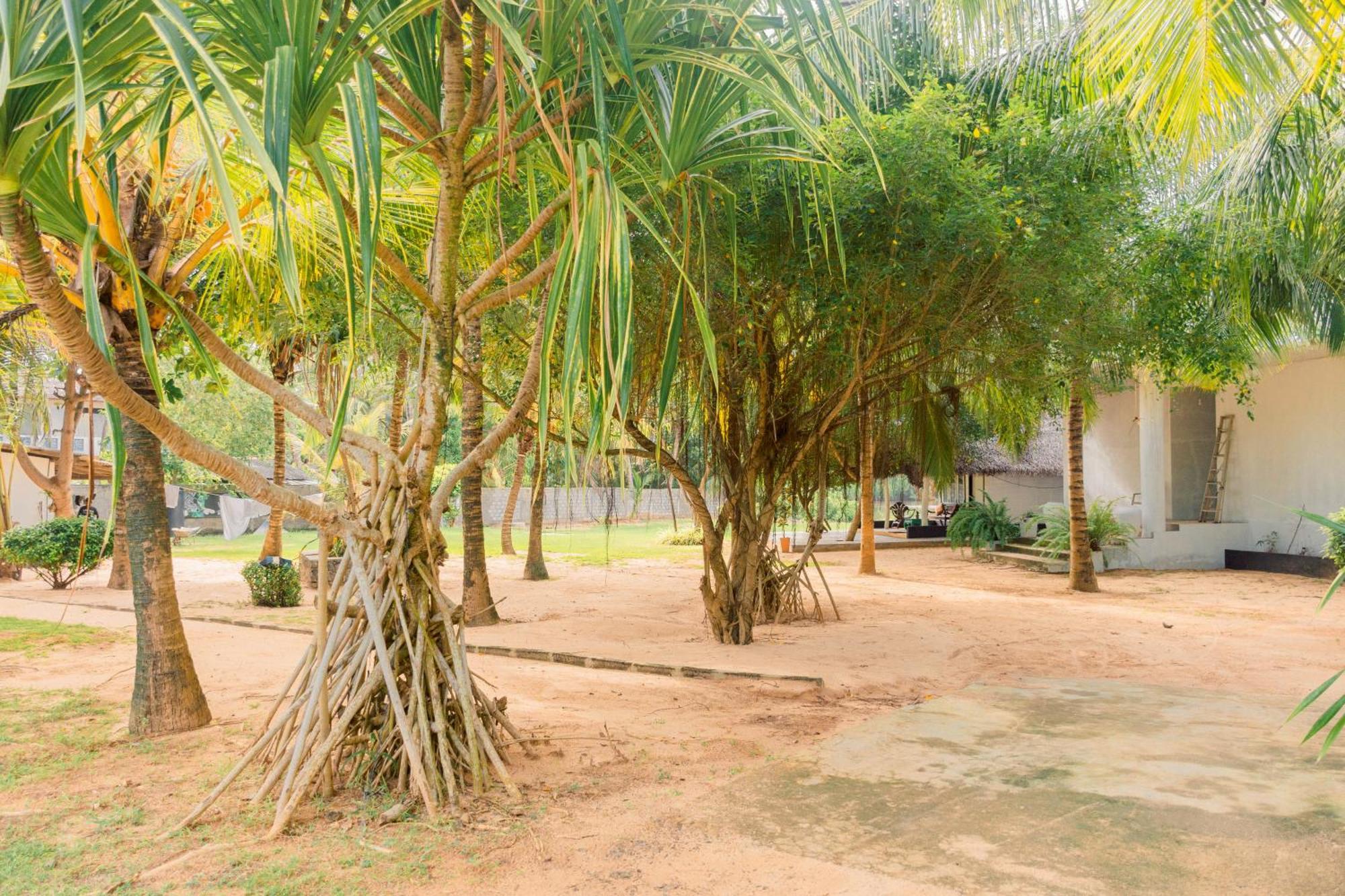 Harmony Beach Resort Tangalle Luaran gambar